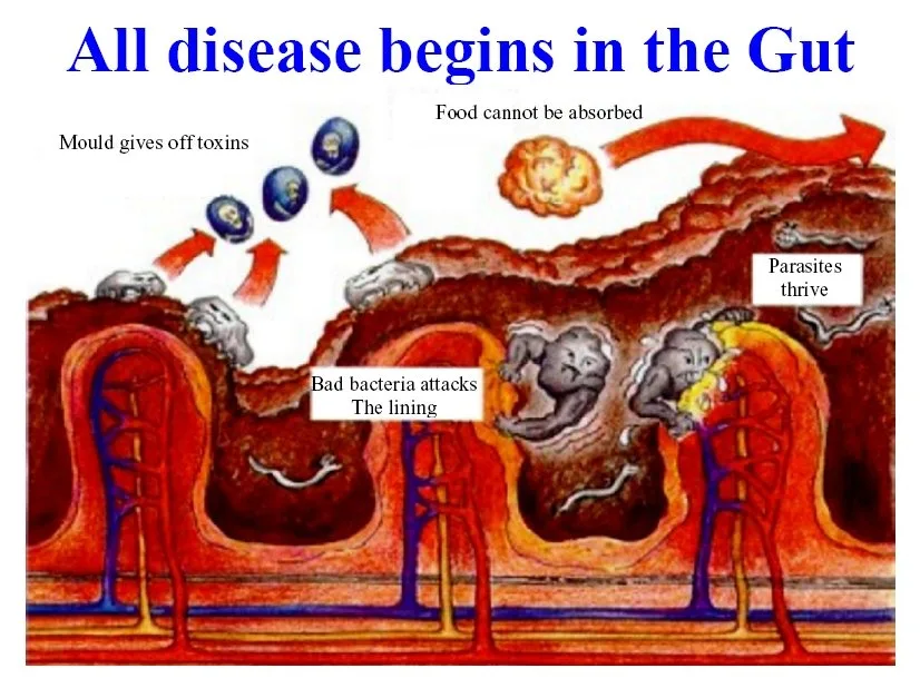 Benefits of Colon Hydrotherapy Machine 262