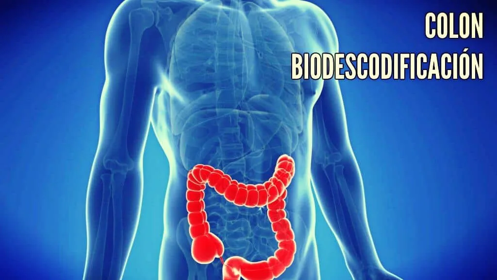 Libbe Colon Hydrotherapy 232